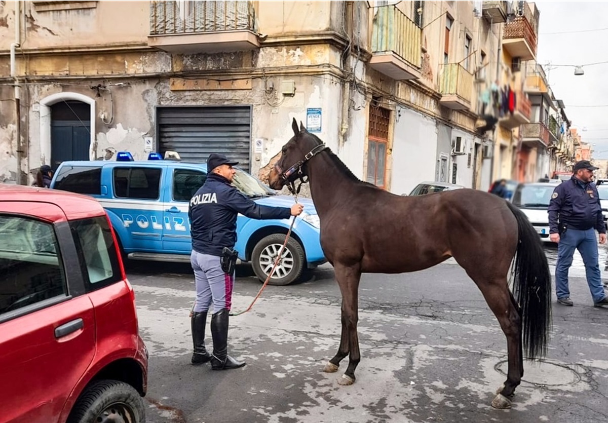 VIDEO | Catania, ancora corse dei cavalli su strada. Rizzi: “Situazione preoccupante”