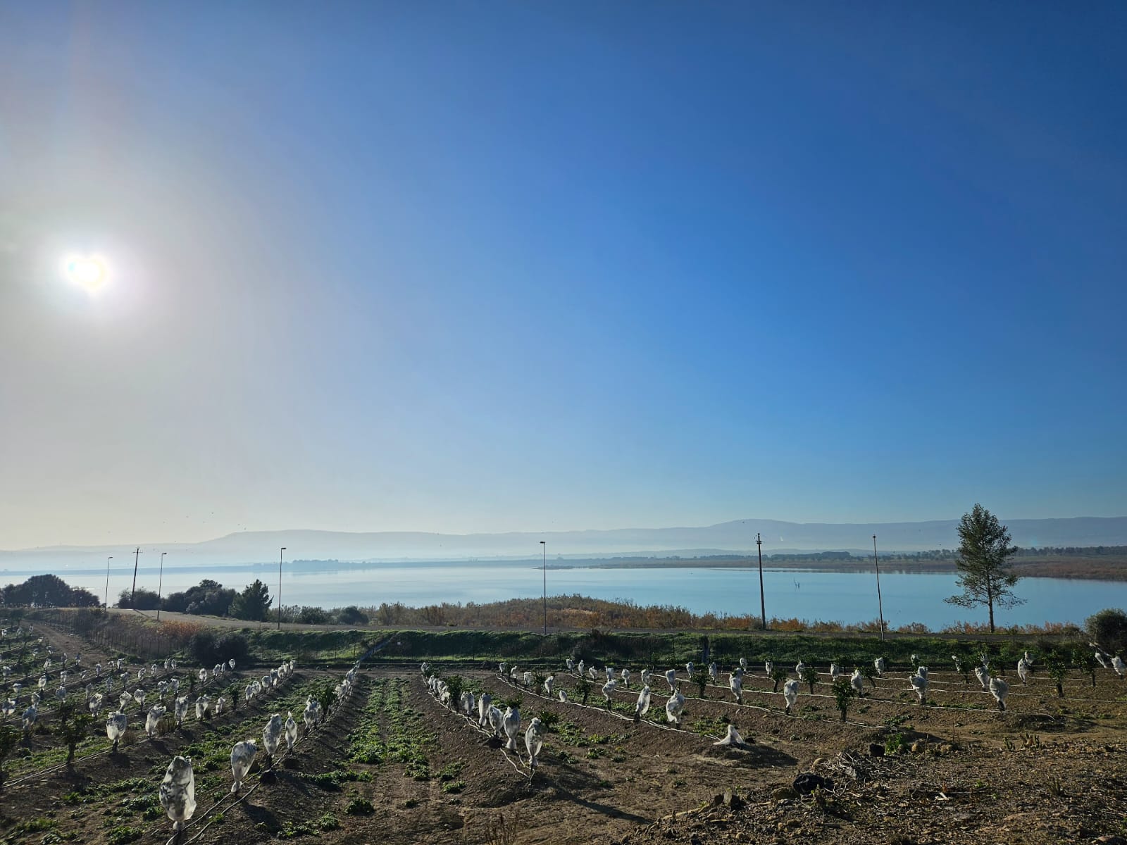 L’Isola muore di sete, ma nell’invaso l’acqua c’è: peccato sia inutilizzabile