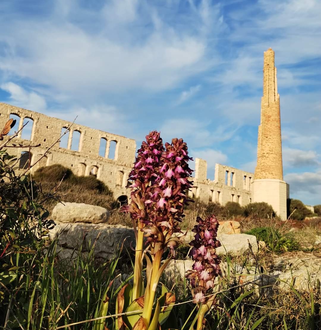 Scicli, espropriata dalla Regione la fornace Penna