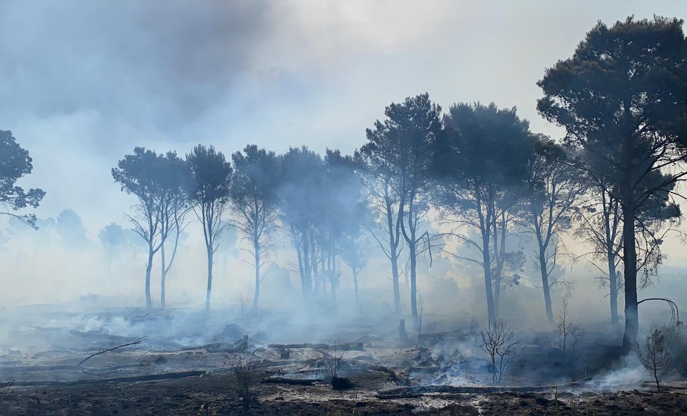 Cambiamento climatico: il Wwf nelle scuole di Sciacca