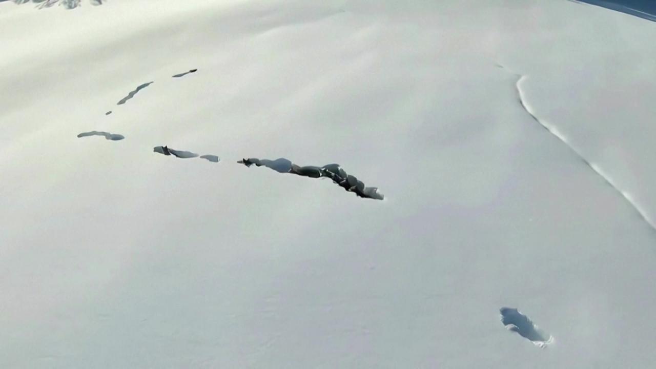 VIDEO | Branco di lupi scava tunnel nella neve: le spettacolari riprese da un drone