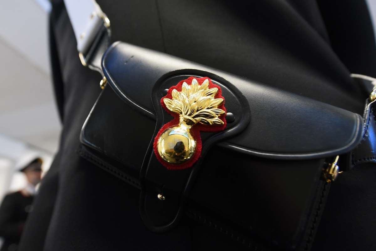 Gatto impiccato dietro porta ufficio: intimidazione a funzionario comunale nel palermitano