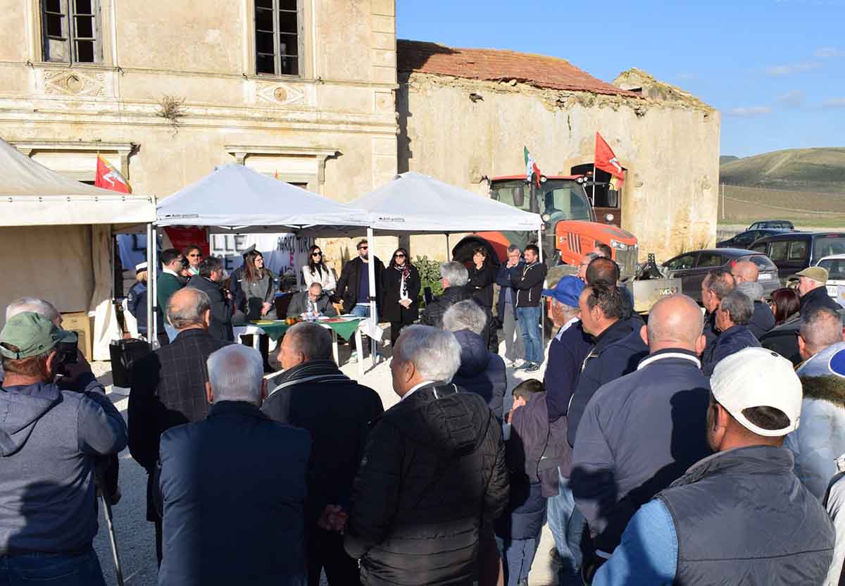 Agricoltura, la voce dei produttori siciliani: “In Italia manca la trasparenza dei prezzi”