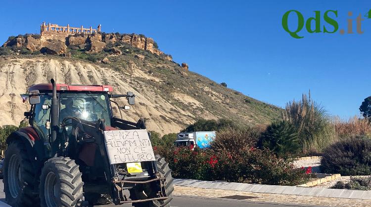 Protesta degli agricoltori ad Agrigento - foto di Irene Milisenda (5)