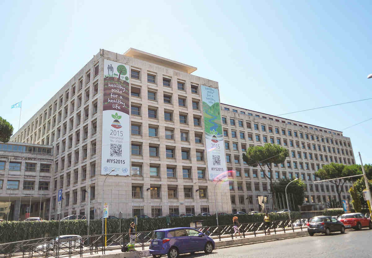 Tirocini FAO 2024 retribuiti in Italia e all’estero: ecco come presentare domanda