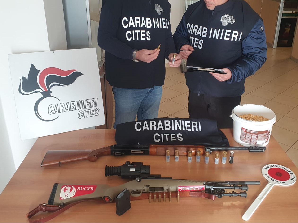 Bracconaggio a Mazara del Vallo: cacciavano cinghiali in area protetta, denunciati