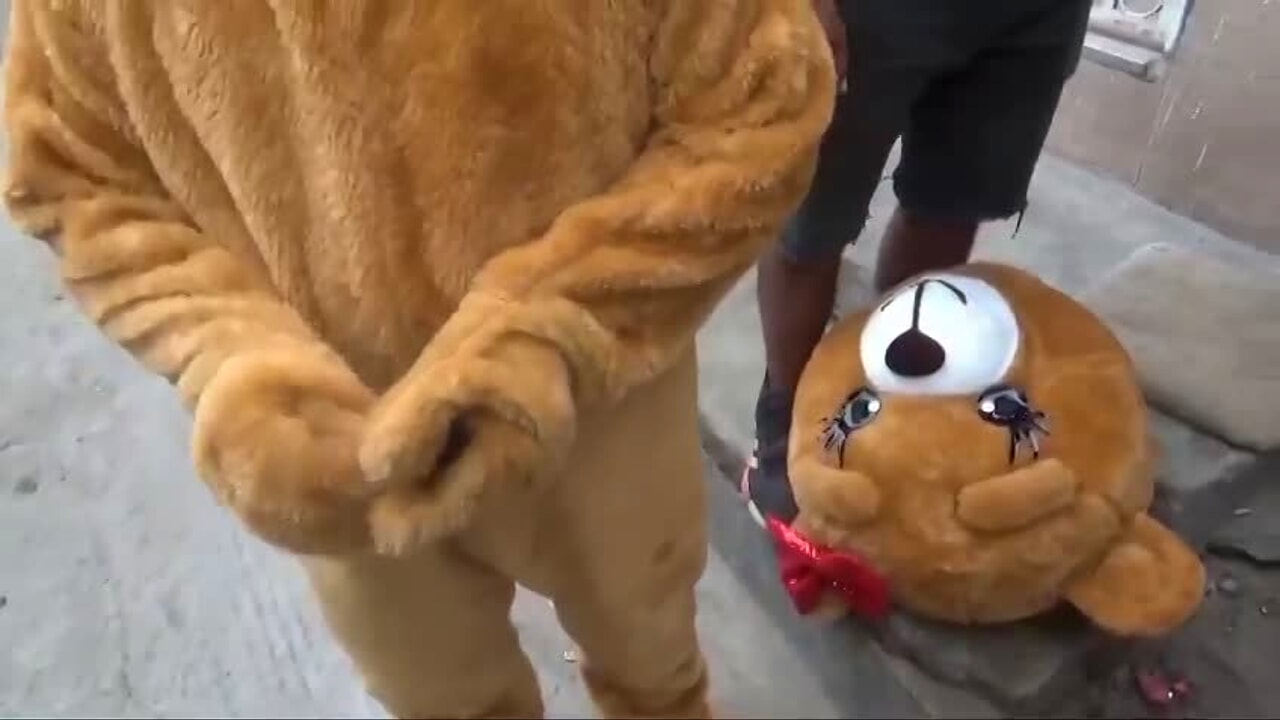 VIDEO | Poliziotto si traveste da orsetto e arresta narcotrafficanti