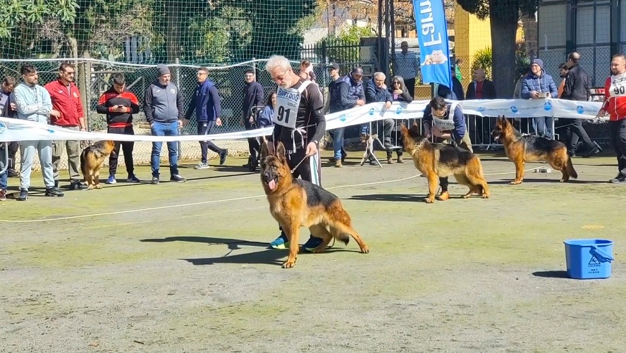 Nelle Gole dell’Alcantara un turismo… da cani