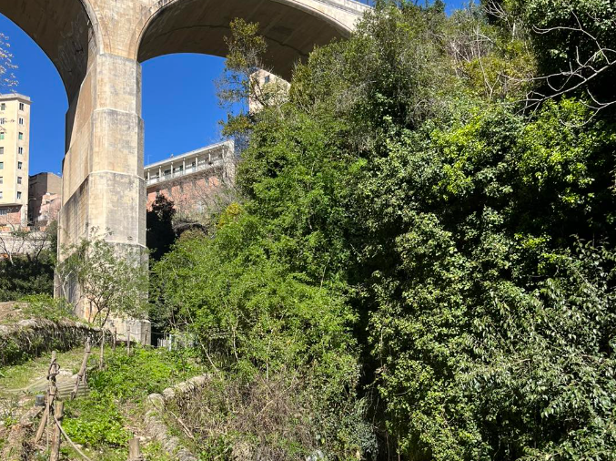 Ragusa, vallata Santa Domenica, polemica sulla bonifica