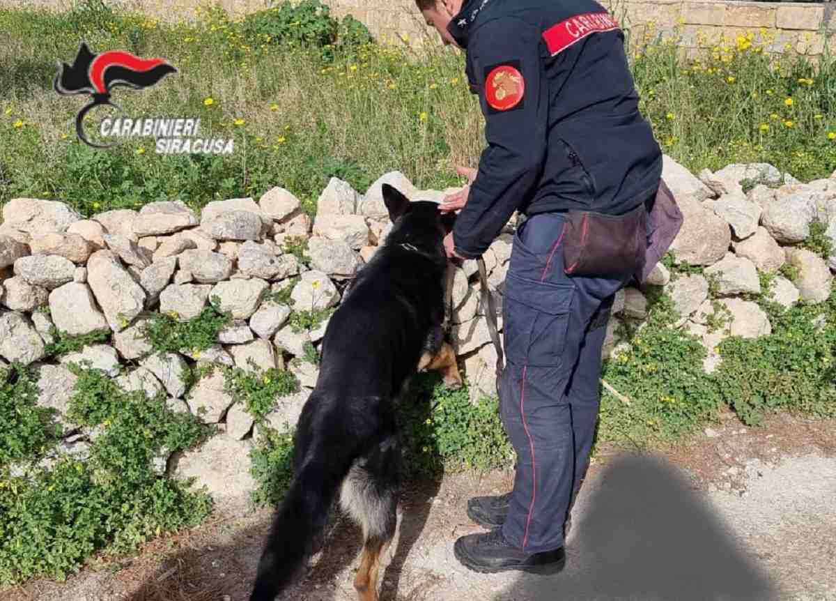 Avola, arrestato 24enne in possesso di droga e armi