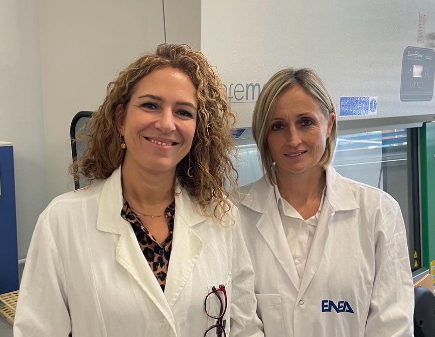 Ricerca, gli estratti di agrumi e vite rossa promettenti alleati contro l’iperglicemia