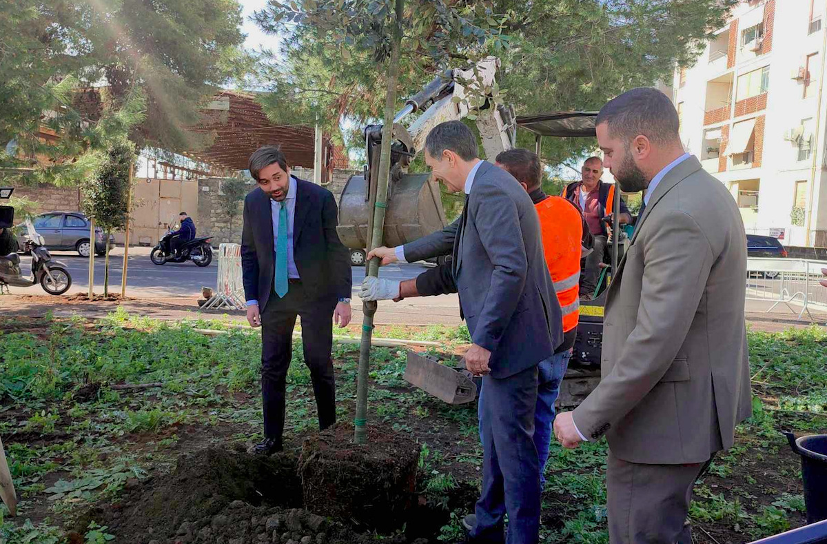 VIDEO | Catania Respira, 2500 alberi per arricchire l’ambiente urbano