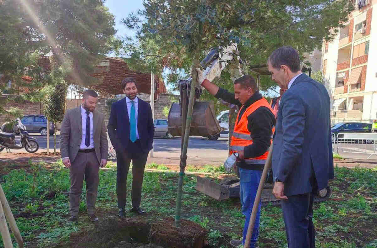 VIDEO | Catania Respira, 2500 alberi per arricchire l’ambiente urbano