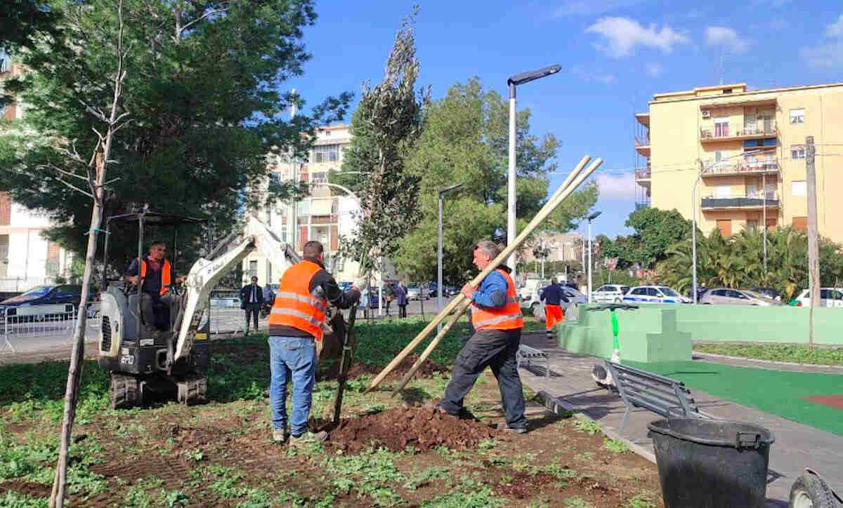 VIDEO | Catania Respira, 2500 alberi per arricchire l’ambiente urbano