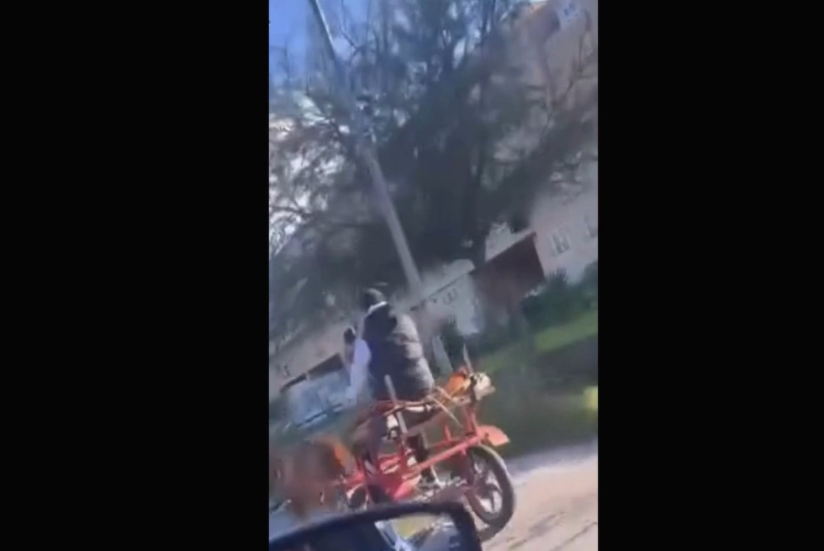 VIDEO | Shock a Palermo, cavallo preso a frustate per strada: la denuncia sui social