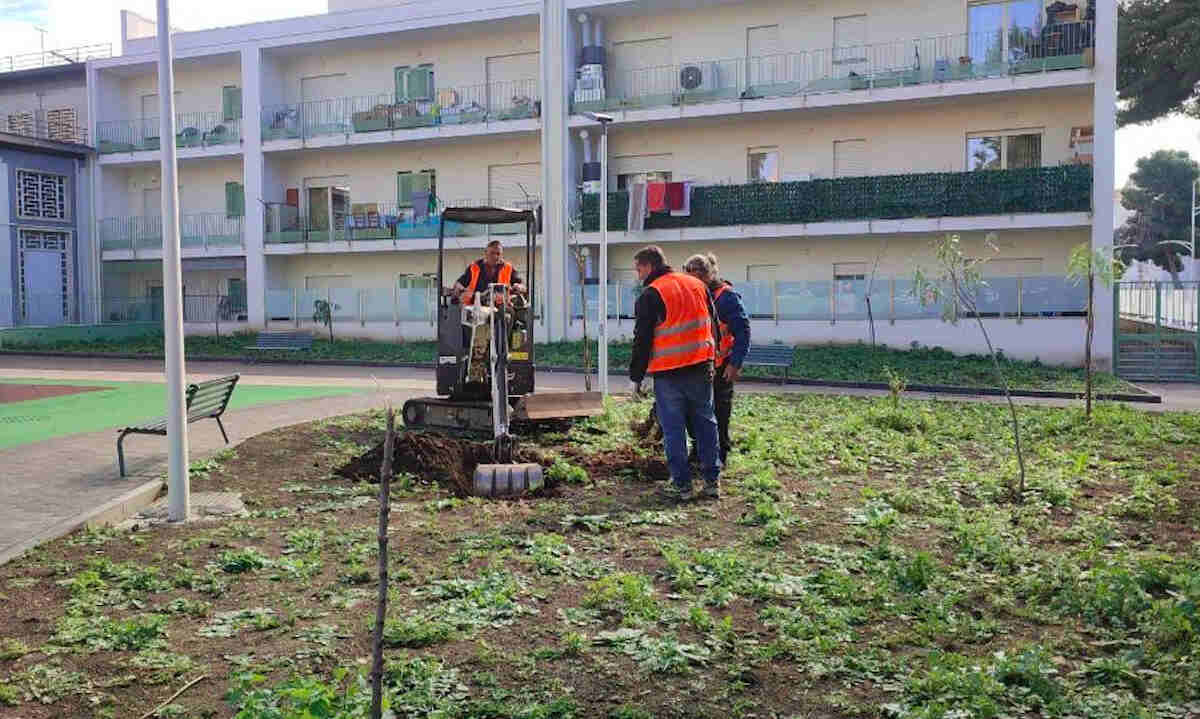 VIDEO | Catania Respira, 2500 alberi per arricchire l’ambiente urbano