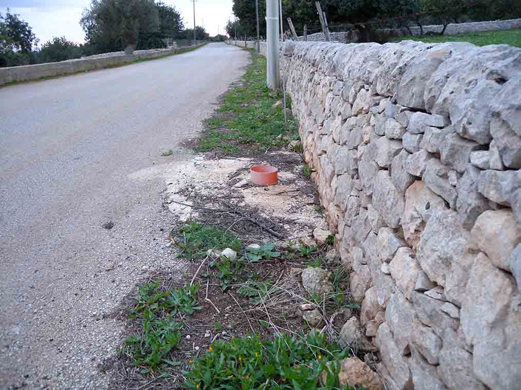 Se in strada bisogna stare attenti… ai pali della luce