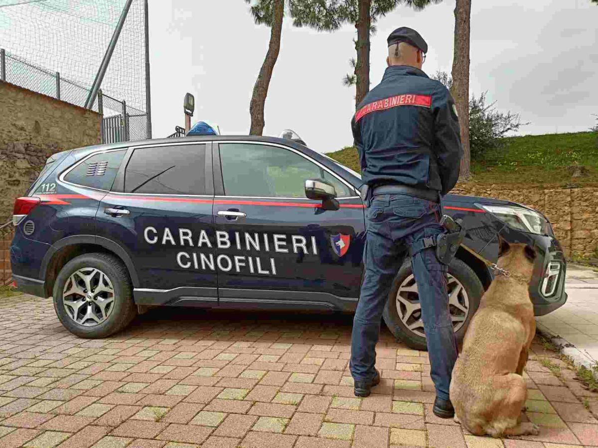 Palermo, droga, armi e documenti contraffatti: 44enne finisce in carcere