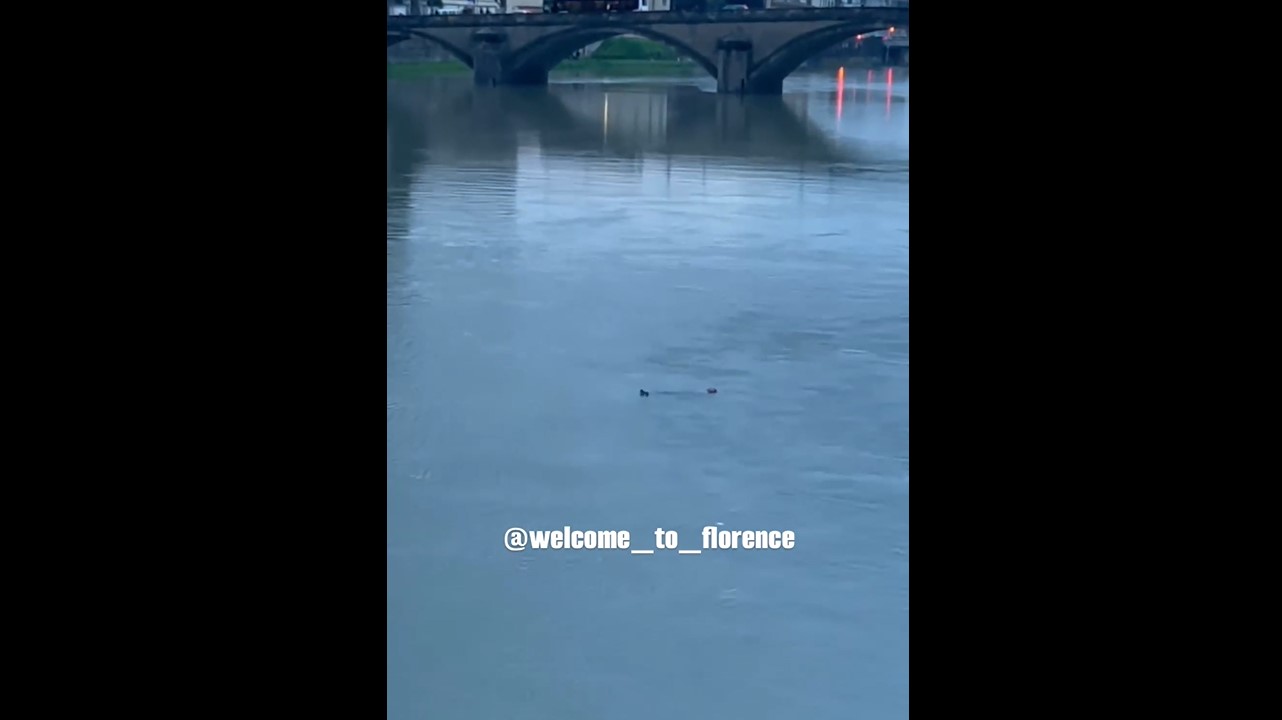 VIDEO | Passante “eroe” salva ragazza caduta nell’Arno da ponte Santa Trinità