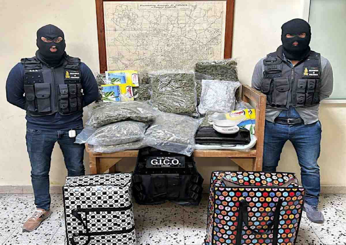 Lotta allo spaccio a Catania, maxi sequestro a San Cristoforo: scoperti 20 chili di marijuana “skunk”