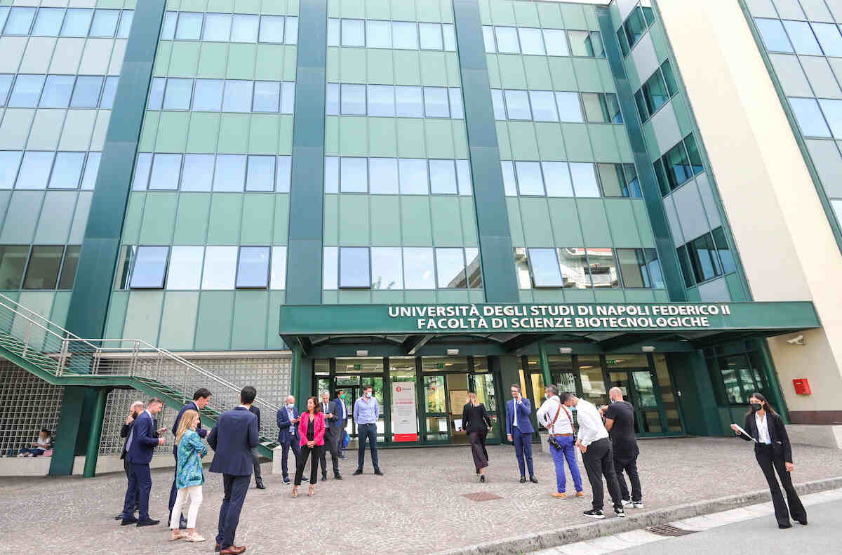 Concorso Università di Napoli Federico II, 62 posti per professori universitari: ecco come partecipare