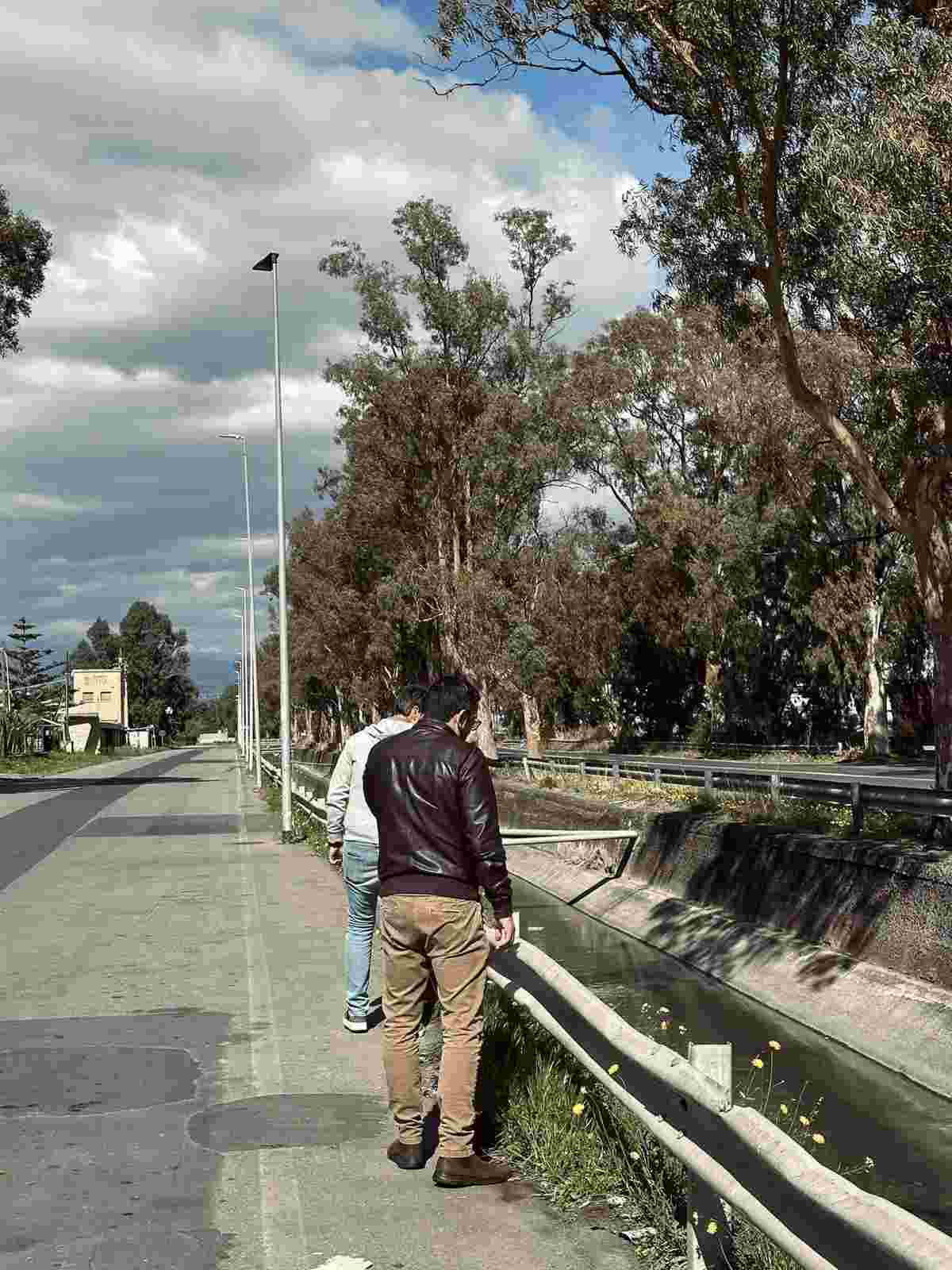 Zona industriale di Catania, moria di anguille nel canale Arci: allarme inquinamento