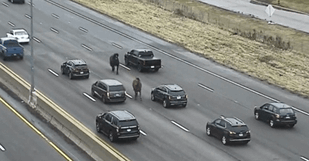 VIDEO | Irruzione in autostrada, cavalli contromano: automobilisti sotto shock