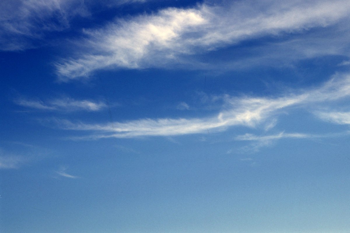 Primavera 2024, ecco quando inizia e l’orario dell’equinozio