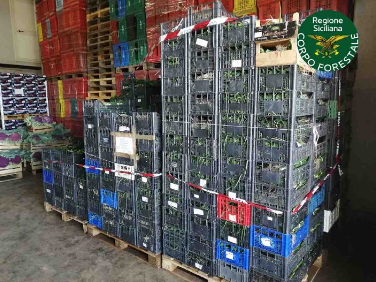 Grano, controlli del Noras a Pozzallo su nave dalla Francia