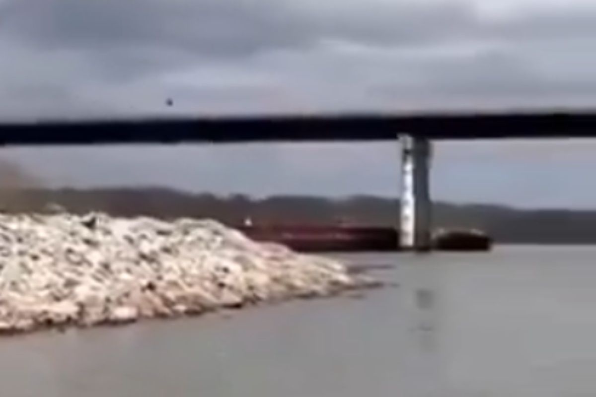 VIDEO | Oklahoma, chiatta si scontra contro un ponte: paura dopo Baltimora