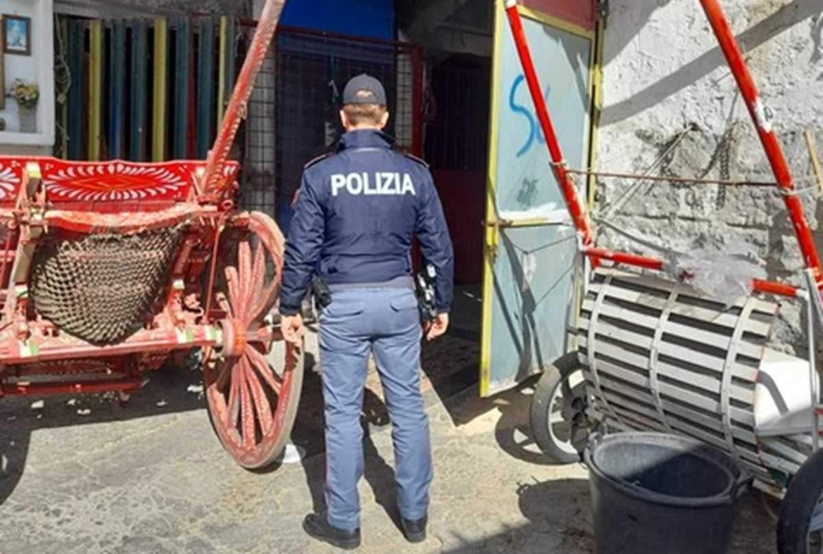 FOTO | Catania, ancora stalle abusive a San Cristoforo: il sequestro