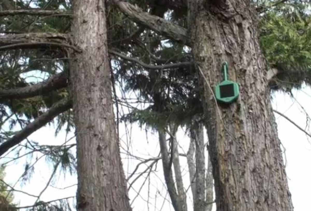 A Troina in sperimentazione i sensori di fumo “intelligenti”