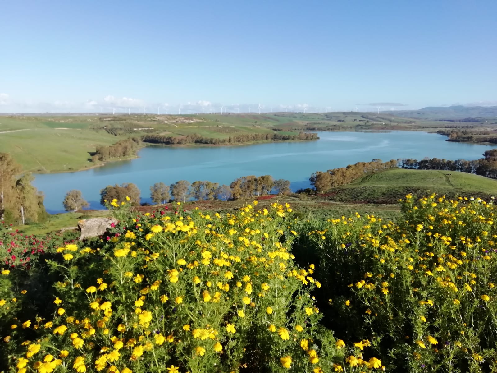 Diga Trinità, Schifani  al Mit: ecco gli interventi della Regione per la sicurezza dell’invaso
