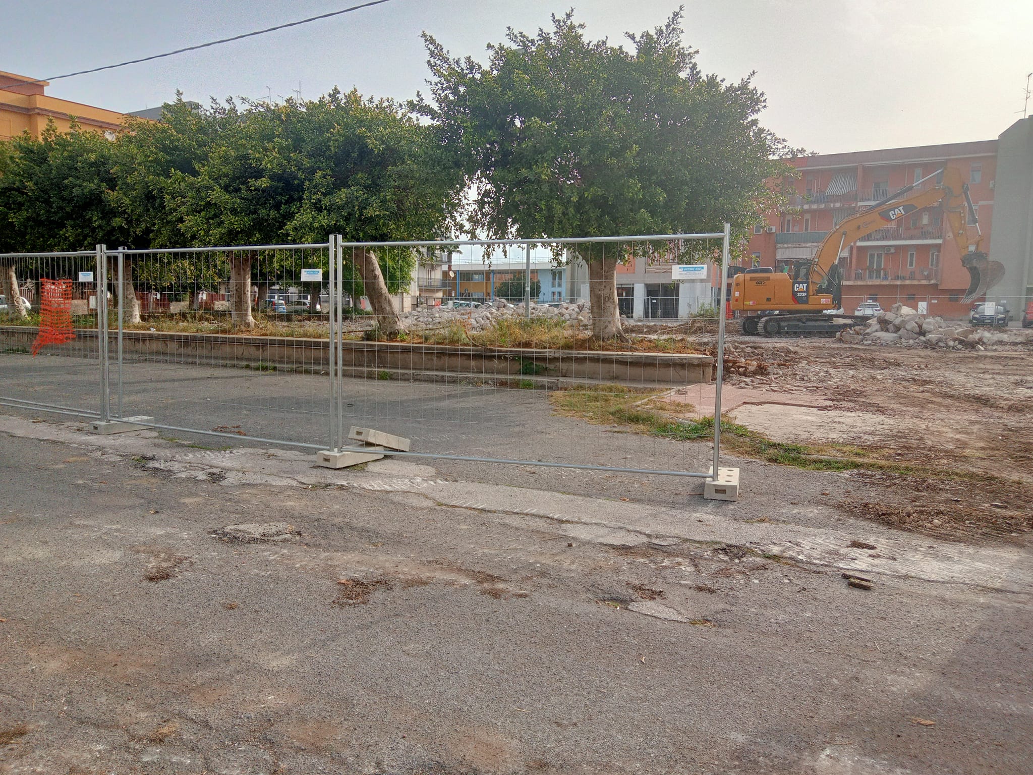 “Non abbattete gli alberi di piazza Mattarella ad Augusta”