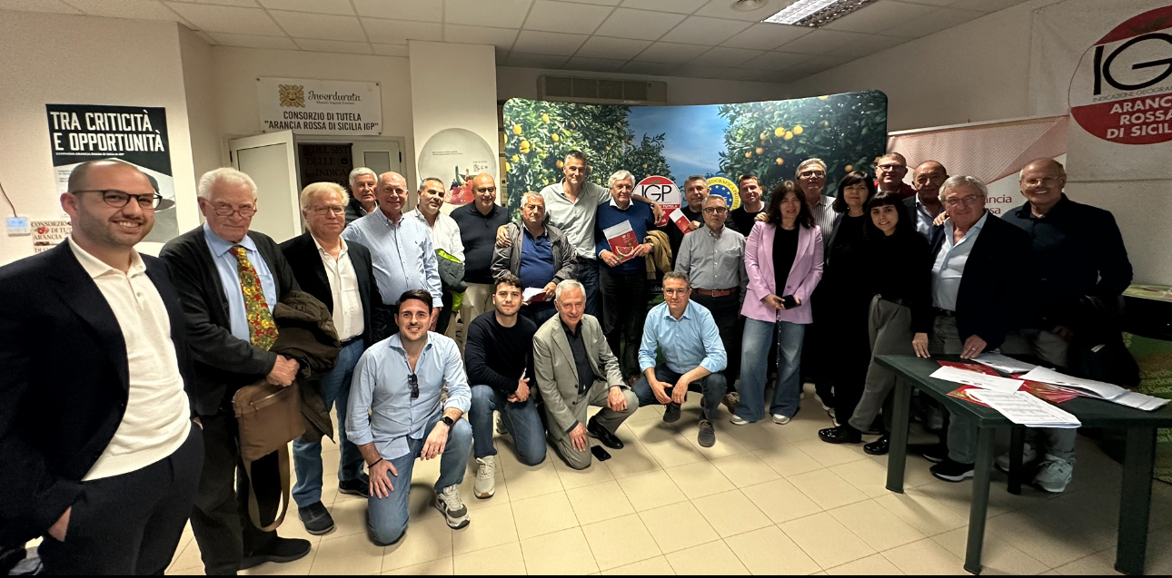 Assemblea dei soci di Arancia Rossa Igp “Stagione in chiaroscuro ma bilancio ricco”