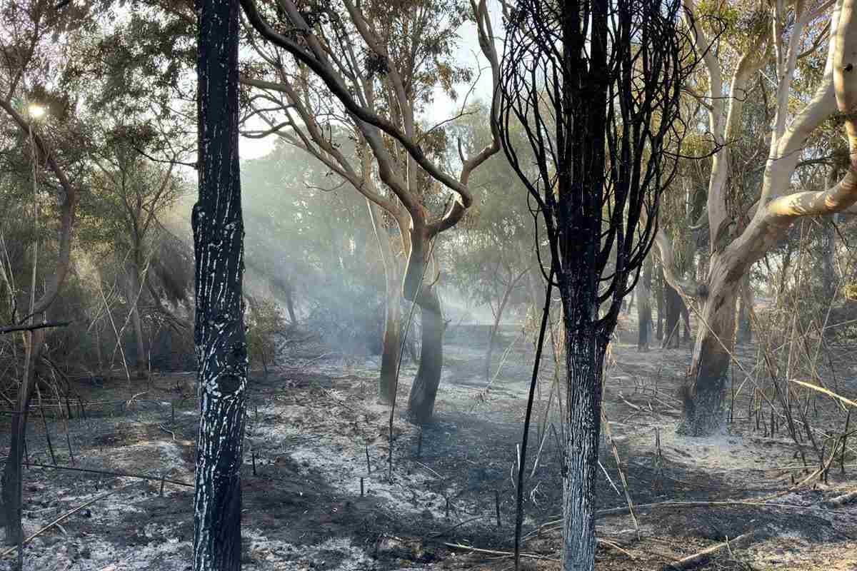 Le fiamme “divorano” la Riserva di Randello, vasto incendio: “Siamo addolorati”