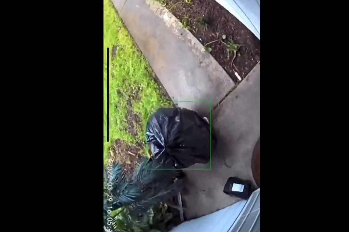 VIDEO | L’assurdo travestimento di un ladro per sfuggire alla videosorveglianza