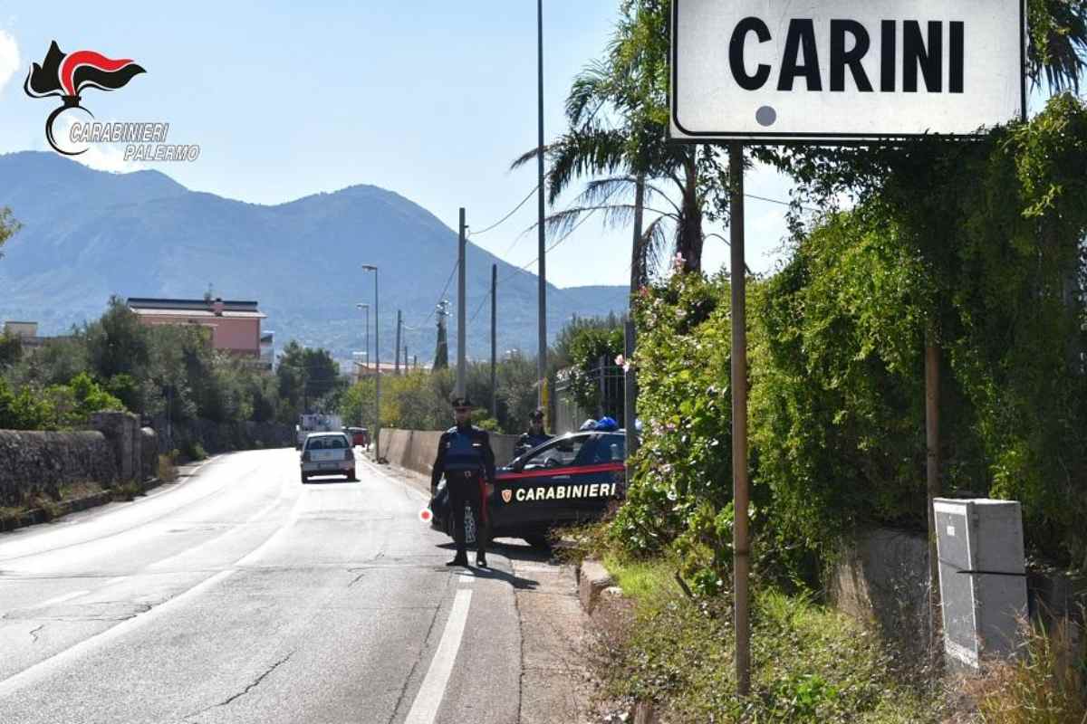 Carini, ritrovato un cane impiccato a un albero. ENPA: “Speriamo possa essere fatta giustizia”