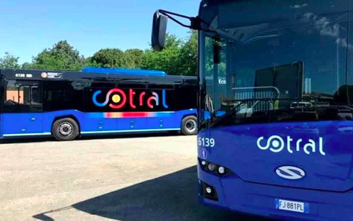 Offerte di lavoro con Cotral, diversi profili ricercati