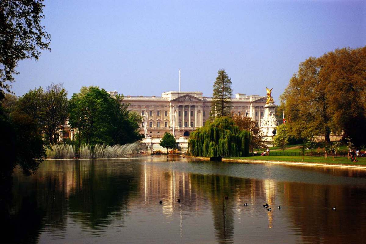 VIDEO | Londra, cavalli dell’esercito in fuga: disordini e feriti vicino a Buckingham Palace