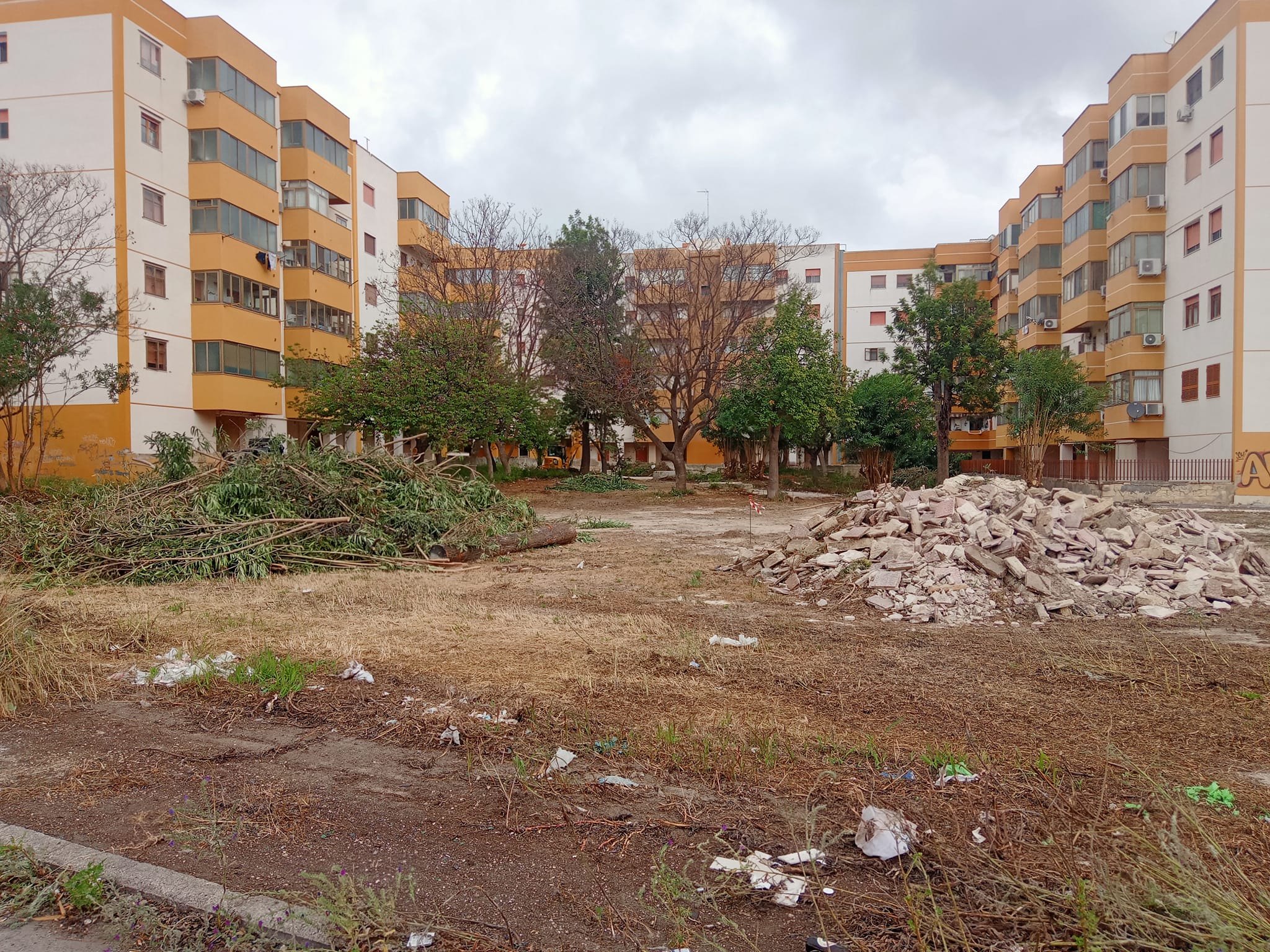 Alberi da abbattere, disputa Comune Augusta-ambientalisti