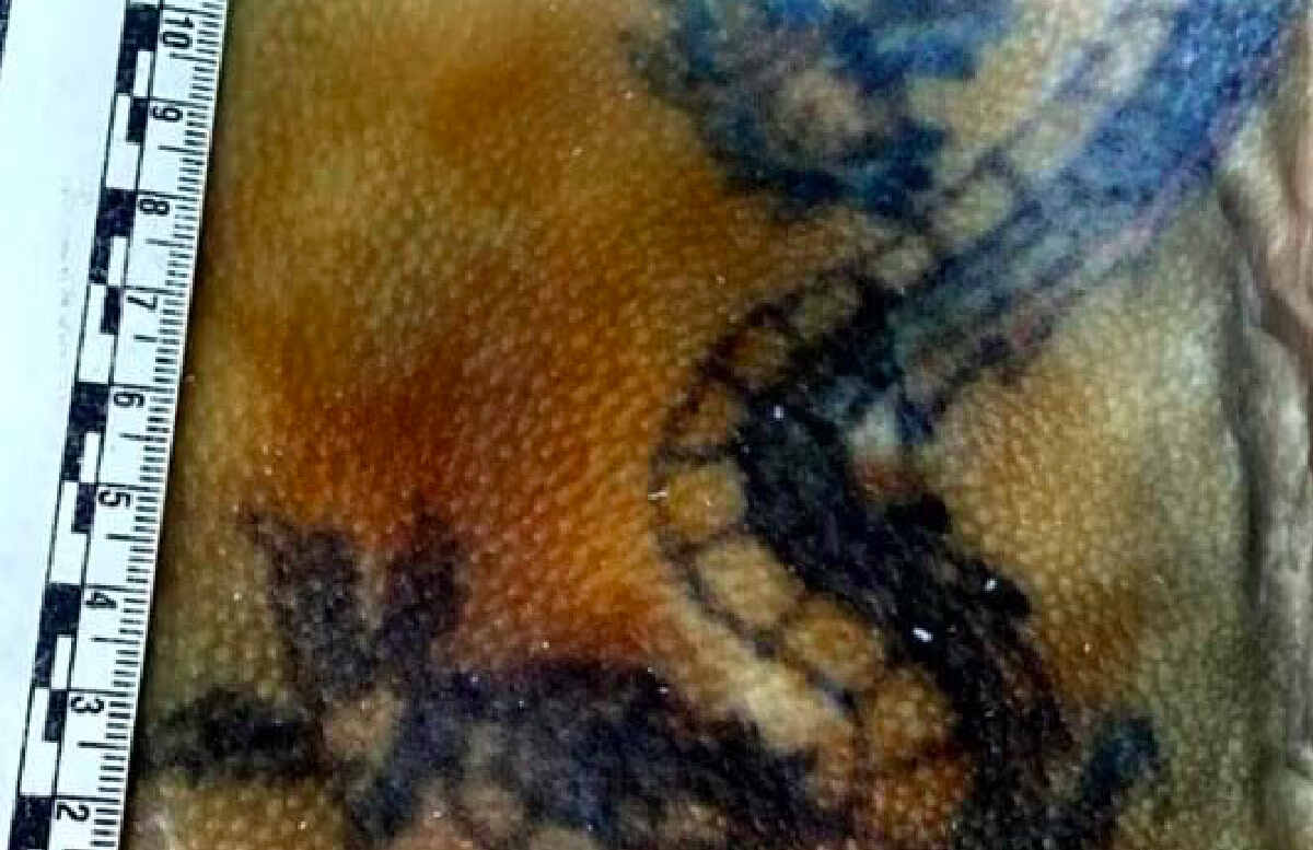 Identificato il cadavere trovato in mare tra Milazzo e Vulcano: riconosciuto grazie al tatuaggio