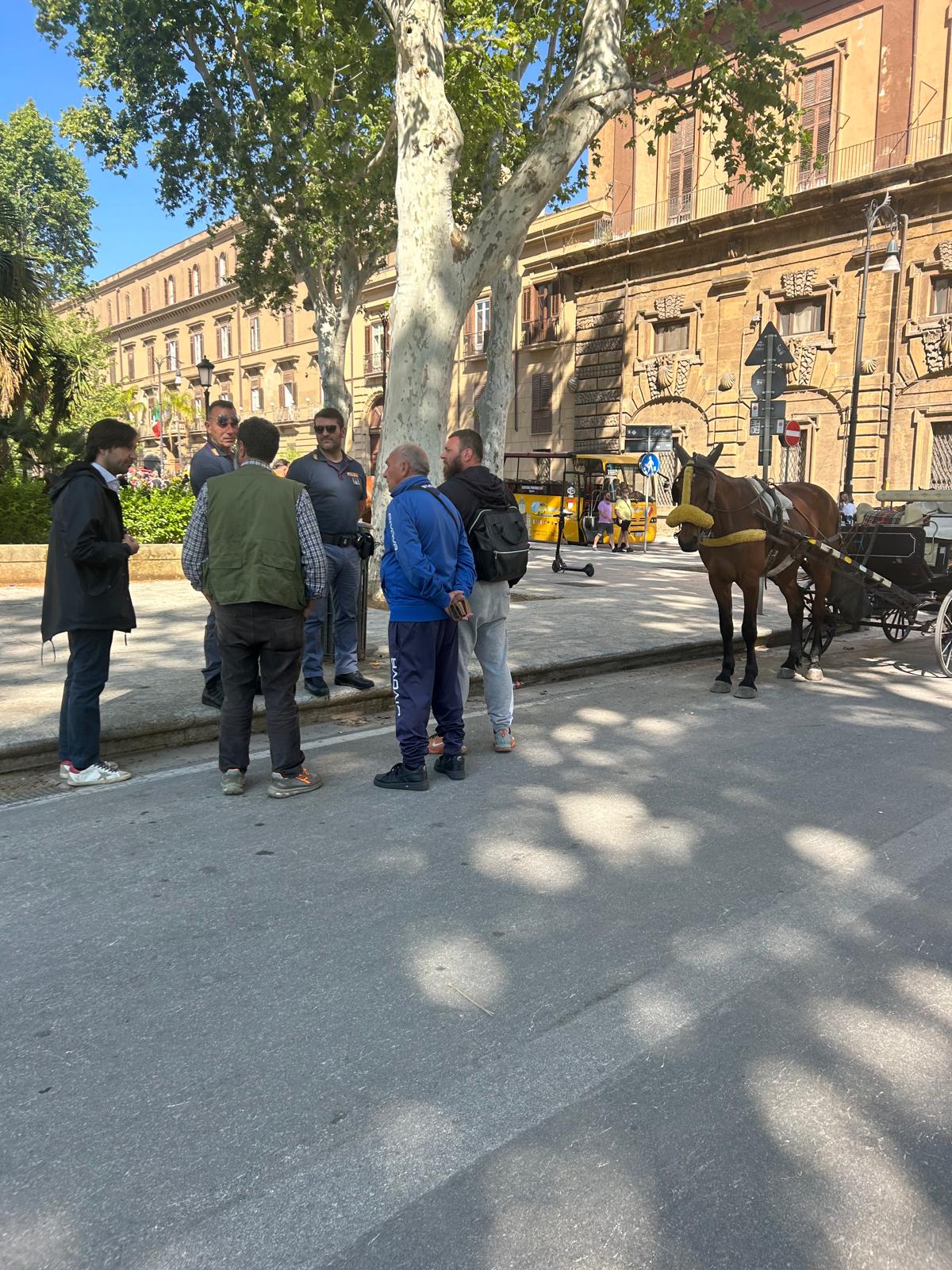 Cavallo imbizzarrito nel centro di Palermo: vetturino abusivo, carrozza sequestrata