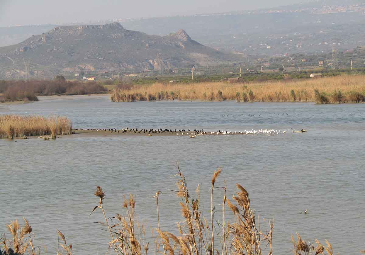 Acqua del Simeto per usi irrigui, l’affare si complica