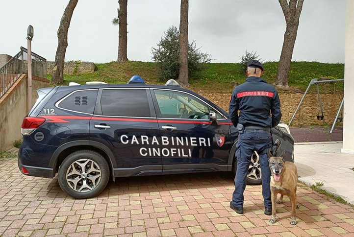 Palermo, scoperto canile abusivo a Montelepre: scattano chiusura e sanzioni