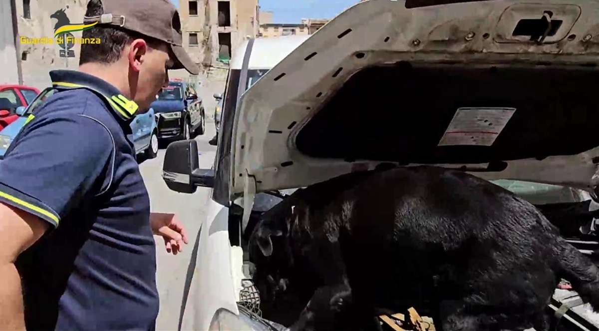 VIDEO e FOTO | Palermo, 3,5 kg di cocaina nel sistema di aerazione: arrestato narcotrafficante ricercato in Repubblica Ceca