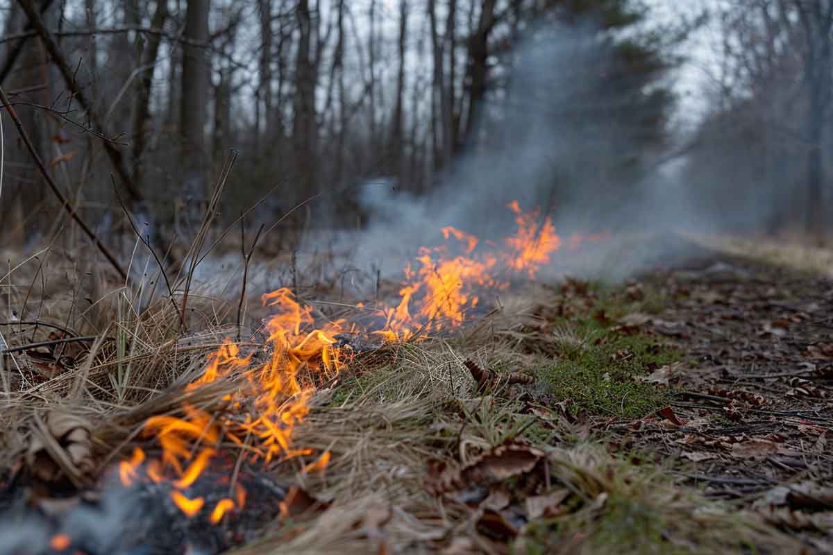 Prevenzione incendi in Sicilia, dalla Regione più di due milioni per rafforzare il personale dei Vigili del Fuoco