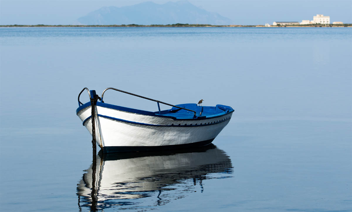 Stagnone di Marsala, riforestazione della posidonia