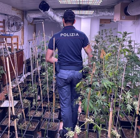 FOTO e VIDEO | Augusta, serra indoor di marijuana: arrestato 38enne