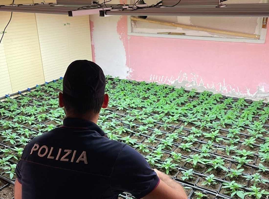 FOTO e VIDEO | Augusta, serra indoor di marijuana: arrestato 38enne